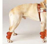 RASTKY Pet Joint Support Leggings Guard, 2pcs Dog Cat Knee Pads Elbow Protector for Post-Surgery Recovery, Universal Size S-L, Orange (L)