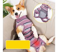 RASTKY Pet Recovery Suit Easy-to-Wear Dog Surgery Shirt for Optimal Healing Suitable for Various Breeds and Sizes Modal Material (M)