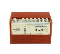 RASTKY Portable Guitar Amplifier 25W Rechargeable Amp with Microphone Input for Voice Modification Practice Black (RASTKYy3e1sgm8k9-I7100)