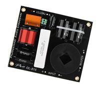 RASTKY Professional 2-way Frequency Divider Crossover Filter for High Power Speaker System, Long-lasting Sound Quality, for Enthusiasts