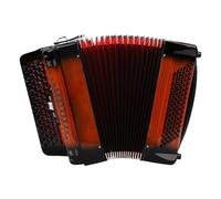 RASTKY Professional Chromatic Scale Accordion 69 Keys 96 Bass Buttons for Beginner Orange