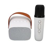 RASTKY Retro Speaker Microphone Set Rechargeable HD Stereo Karaoke Machine for Party (White)