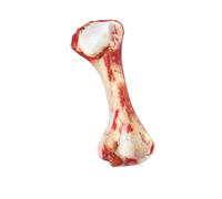 RASTKY Simulation Food Chew Squeak Toy for Pets, Non- Canvas and Velvet Material, Best for Teeth Cleaning and Stress Relief, 12 Types Options for Dogs, Easy to Get What Your Pet Loves (Dog toys