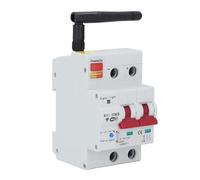 RASTKY Smart WiFi DC Circuit Breaker with Safety Lock Voice Control for Home Use 2P APP Control DC10-100V (63A)