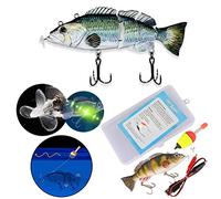 RASTKY Swimming Robotic Segment Fishing Lure Smooth and Realistic Swim Bait for Anglers USB Charging 3 Meter Dive ABS+Metal 14cm (Colorful1)
