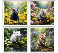 Rat Coaster Set. 4 different Rat Pictures on 10cm x 10cm Acrylic Coasters. Boxed Coaster Drip Mat Set. Rat Gift Coaster Set