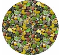 Rat Food 10kg 5kg 3kg 2kg 1kg 500g Mixed Complete Muesli Food For Rats (1kg)