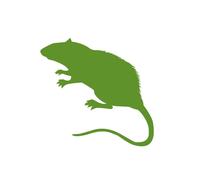 (Rat Medium 160g+ 5 Pack) Swell Reptiles Frozen Rats Snake Food