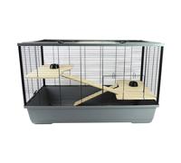 Rat Syrian Hamster Cages Pets Belfry Plaza Langham Grosvenor Large & Extra Large