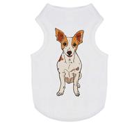 'Rat Terrier' Pet Dog/Cat T-Shirt (PT00078921)