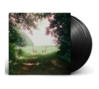 RATBOYS - Singin' To An Empty Chair (Etched Vinyl)