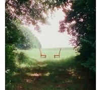 Ratboys - Singin' to An Empty Chair [VINYL]