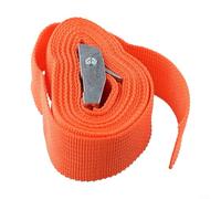 Ratchet Tie-Down Strap, 2 m x 25 mm, Heavy-Duty Polyester Webbing with Zinc Iron Buckle, 250 LBS Working Load Capacity, for Car, Motorcycle, and Trailer Cargo Securing