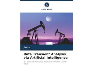 Rate Transient Analysis via Artificial Intelligence: for Naturally Fractured Reservoirs with Dual Lateral Wells