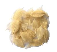 RATREE 888 200 Pcs Small 2-3.5 Inches Natural Skeleton Leaves Rubber Tree Scrapbooking, Craft DIY Card, Wedding, Bouquets, Seasonal Gift