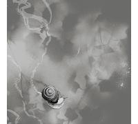 Rats on Rafts - Deep Below [VINYL]