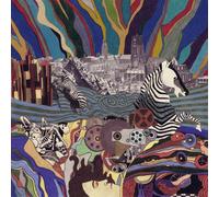 Rats On Rafts Tape Hiss (Vinyl)