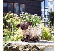Rattan Dolly Sheep Planter Rustic Garden Ornament Flower outdoor Patio Decor