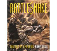 Rattlesnake: Portrait of a Predator