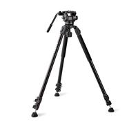 RAUBAY 70.8" Video Camera Tripod, Heavy Duty Tripods Stand with 360° Pan & 165° Tilt Fluid Head, 75mm Bowl Base, Aluminum Single Tube Legs, QR Plate, Max. Load 17.6lb for DSLR Camera, Camcorder (DV-3)