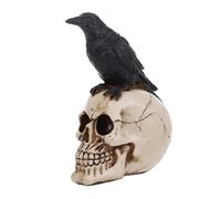 Raven and Skeleton Statue | Gothic Bird on Skeleton Desktop Decor,Exquisite Scary Party Supplies Bird Perching Figure for Home Cafes Yard Restaurants