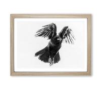 Raven Bird In Flight Modern Art Framed Print | A4 Oak Framed Wall Art | Ready to Hang | Modern Animal Picture | Living Room Bedroom Lounge Office