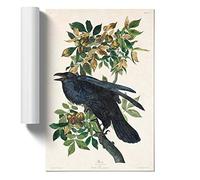 Raven by John James Audubon Art Print | Unframed Poster, A3 | Ready to Frame, 260gsm Satin Photo Paper, Fade-Resistant Inks, Wall Art for Living Rooms, Bedrooms and Offices