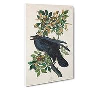 Raven by John James Audubon Canvas Print | Gallery Wrapped 30mm Frame Wall Art | 30x20 inches | Ready to Hang | Modern Picture | Living Room Bedroom Lounge Office
