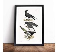 Raven, Crow & Magpie by J.E. De Kay | Framed Wall Art Print | Modern Home Decor Picture | Ready to Hang Artwork for Living Room, Bedroom, Kitchen or Office | Multiple Sizes
