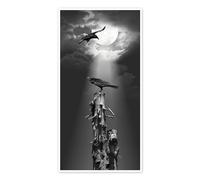 Raven in the night Poster by Monika Jüngling 70 x 140 cm Black and white Wall art Wall decor