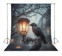 Raven Night Photo Backdrop Polyethylene Studio Background for Photography Video Broadcast Photoshoot