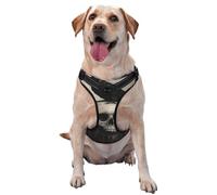 Raven Sitting Upon A Skull Dark No Pull Dog Harness Adjustable Reflective Oxford Easy Control Medium Large Dog Harness