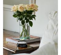 Ravencourt Living Talking Button Alarm Clock