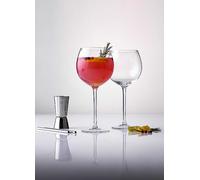 Entertain Gin Cocktail Set glass