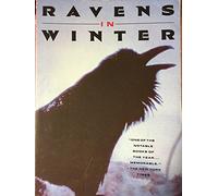 Ravens in Winter