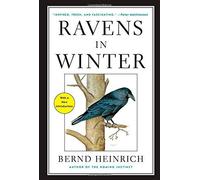Ravens in Winter Reissue edition by Heinrich, Bernd (2014) Paperback