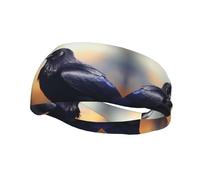 Ravens Printed Versatile Sports Headband, Stretchy Moisture Wicking Headband for Yoga and Fitness