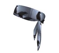 Ravens Printing 1 Pieces Headband Hair Band Unisex Dry Head Tie Sport Band For Basketball Running Tennis
