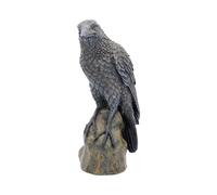 Nemesis Now Ravens Rest Figurine 20cm Black