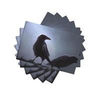 Ravens Style Linen-Look Placemats Set of 6 PCS, 45x30cm Heat Resistant Double Layer Washable Table Mats for Dining Table, Daily Meals & Outdoor Picnic