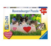 Ravensburger 07801 Sleepy Kitten 2 x 24 Piece Puzzles in a Box 2 x 24 Piece Puzzles for Kids Every Piece is Unique Pieces Fit Together Perfectly
