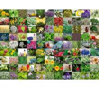 Ravensburger 12000073 - 99Herbs and Spices - 1000 pieces jigsaw puzzle - Puzzle for adults and kids age 14 years up,