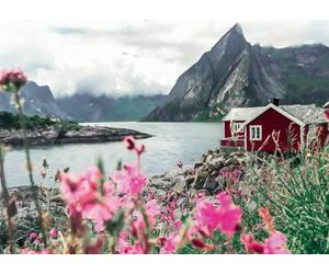 Ravensburger 12000112 - Lofoten, Norway - 1000 pieces jigsaw puzzle - Puzzle for adults and kids age 14 years up, jigsaw puzzles Norway