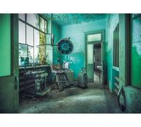 Ravensburger 12000177 - The Asylum - 1000 pieces jigsaw puzzle - Puzzle for adults and kids age 14 years up, lost places jigsaw puzzle