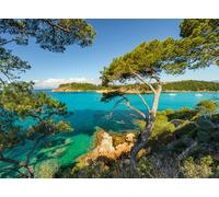 Ravensburger 12000219 - Beautiful View - 500 pieces jigsaw puzzle - Puzzle for adults and kids age 12 years up, nature puzzle, landscape jigsaw