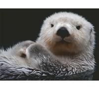 Ravensburger 12000235 - Adorable Little Otter - 500 pieces jigsaw puzzle - Puzzle for adults and kids age 12 years up,