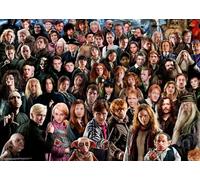 Ravensburger 12000457 - Harry Potter - Challenge Jigsaw Puzzle - 1000 pieces for Adults and Kids Aged 14+
