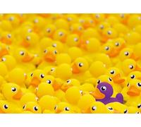 Ravensburger 12000587 - Challenge Rubber ducks - 1000 pieces jigsaw puzzle - Puzzle for adults and kids age 14 years up, Difficult puzzle