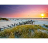 Ravensburger 12000690 - Sunset over Amrum - 1000 pieces jigsaw puzzle - Puzzle for adults and kids age 14 years up, jigsaw puzzles beach