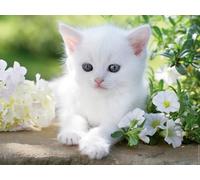 Ravensburger 12000706 - White Kitten - 1500 Piece Jigsaw Puzzle - Adult & Youth Jigsaw Puzzles from 14 Years, Animal Puzzles
